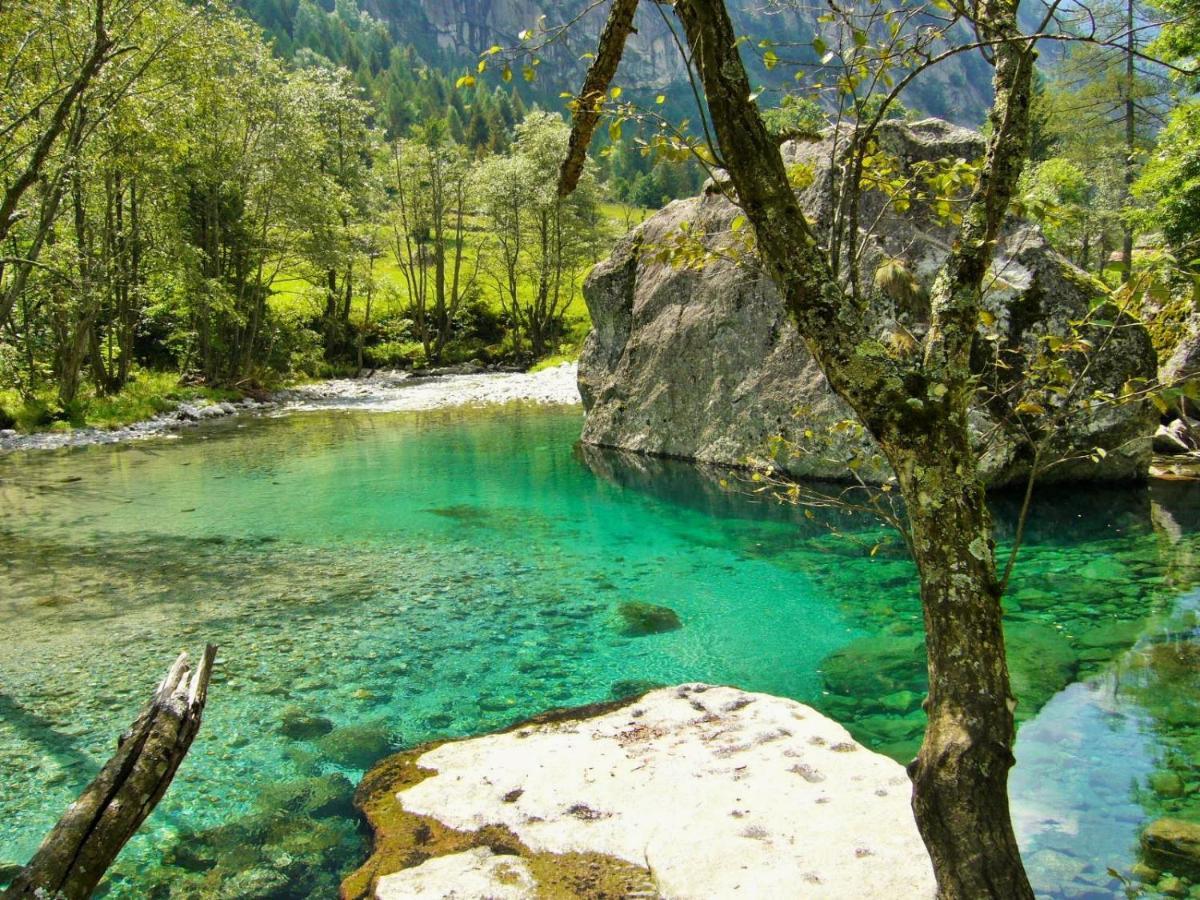 Appartamento Il Nido Tra Verde E Natura Berbenno di Valtellina Exteriér fotografie
