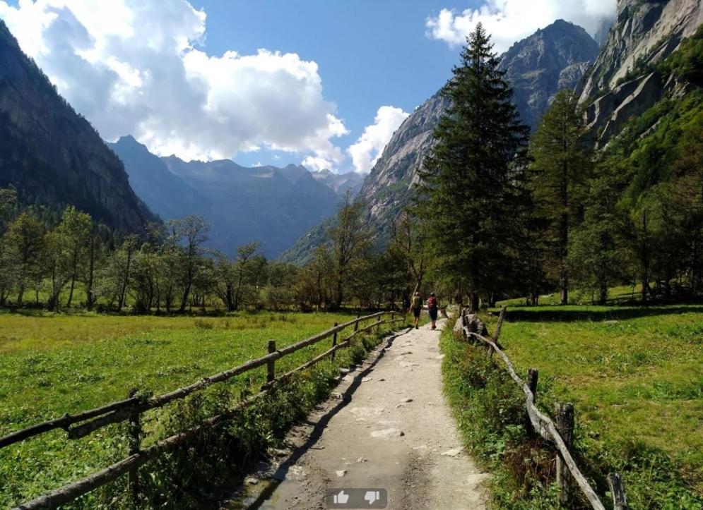 Appartamento Il Nido Tra Verde E Natura Berbenno di Valtellina Exteriér fotografie